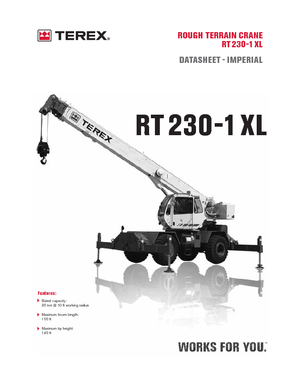 Gru fuoristrada Terex Bendini RT 230-1 XL