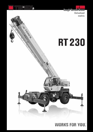 Gru fuoristrada TEREX CRANES RT 230