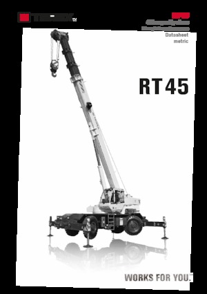 Gru fuoristrada TEREX CRANES RT 45
