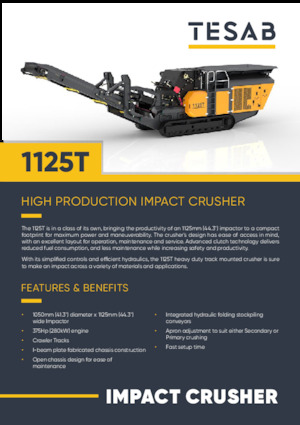 Impianti di riciclaggio calcinacci Tesab 1125T