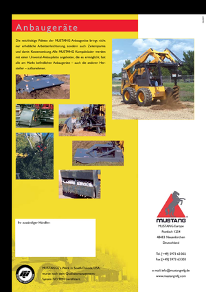 Minipale Mustang 2012