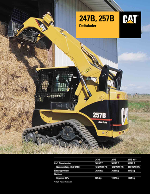 Minipale Caterpillar 247B