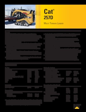 Minipale Caterpillar 257D