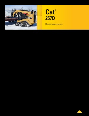 Minipale Caterpillar 257D