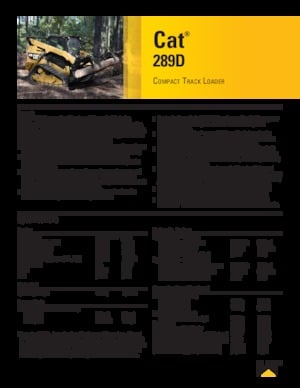 Minipale Caterpillar 289D