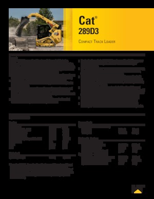 Minipale Caterpillar 289D Serie 3 Deltalader