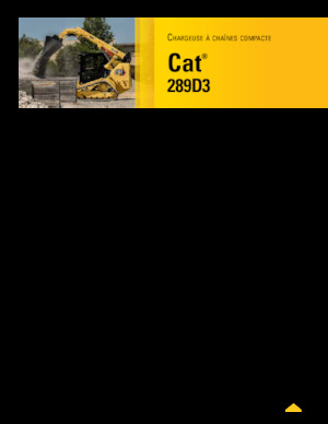 Minipale Caterpillar 289D Serie 3 Deltalader
