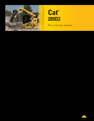Minipale Caterpillar 289D Serie 3 Deltalader