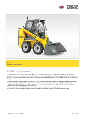 Minipale Neuson 501s