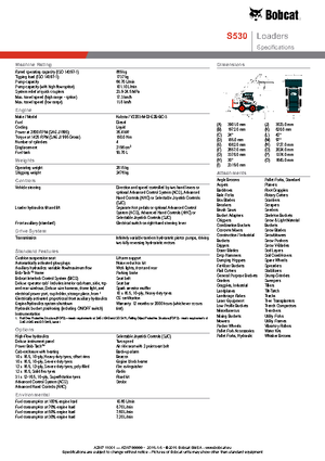 Minipale Bobcat S530
