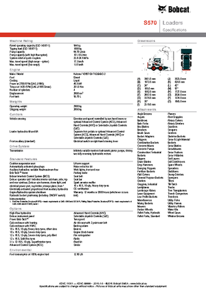 Minipale Bobcat S570