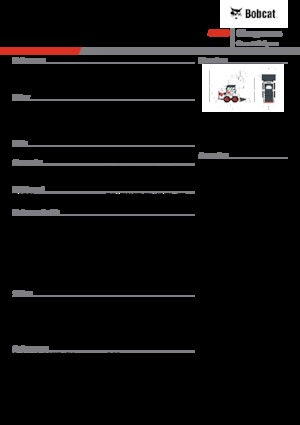 Minipale Bobcat S450