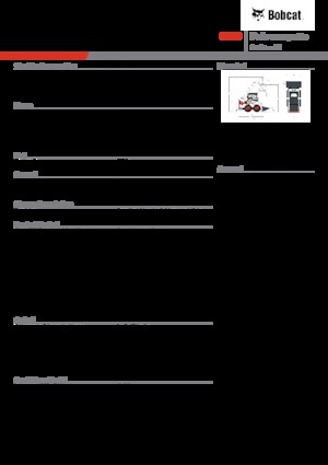 Minipale Bobcat S450