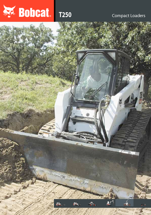 Minipale Bobcat T 250