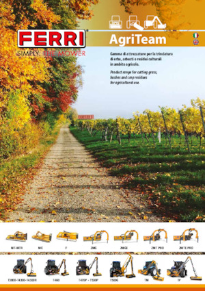 Falciatrici per scarpate Ferri TP 600