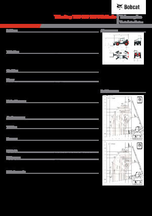 Sollevatori Telescopici Fissi Bobcat T35.105 100 V