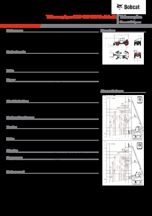 Sollevatori Telescopici Fissi Bobcat T35.105 100 V