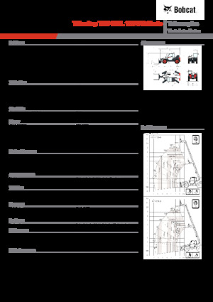 Sollevatori Telescopici Fissi Bobcat T35.105L 100 V