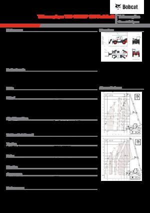 Sollevatori Telescopici Fissi Bobcat T35.130SLP 100 V