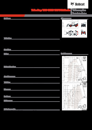 Sollevatori Telescopici Fissi Bobcat T35.140S 100 V
