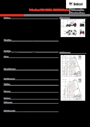 Sollevatori Telescopici Fissi Bobcat T36.120SL 100 V