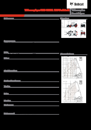 Sollevatori Telescopici Fissi Bobcat T36.120SL 100 V