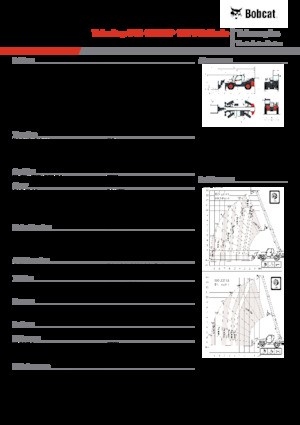 Sollevatori Telescopici Fissi Bobcat T41.140SLP 100 V
