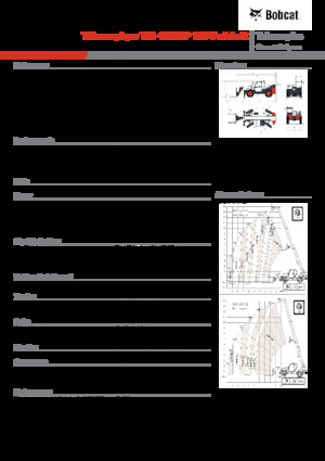 Sollevatori Telescopici Fissi Bobcat T41.140SLP 100 V