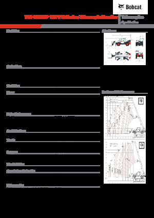 Sollevatori Telescopici Fissi Bobcat T41.140SLP 100 V