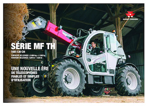 Sollevatori Telescopici Fissi Massey Ferguson TH.7030 H