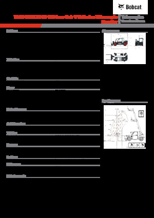Sollevatori Telescopici Fissi Bobcat TL30.60 Low Cab 100 V