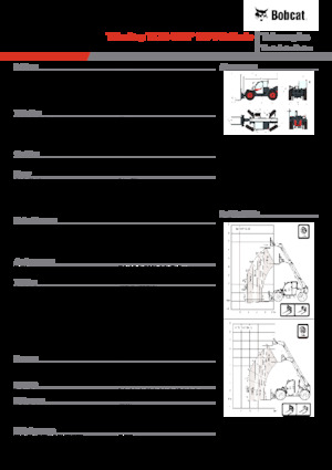 Sollevatori Telescopici Fissi Bobcat TL34.65HF 135 V