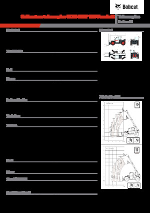 Sollevatori Telescopici Fissi Bobcat TL34.65HF 135 V