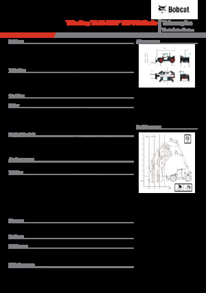 Sollevatori Telescopici Fissi Bobcat TL43.80HF 135 V