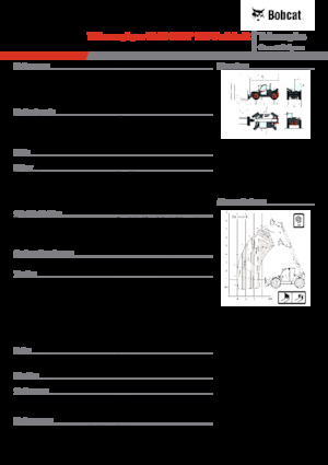 Sollevatori Telescopici Fissi Bobcat TL43.80HF 135 V