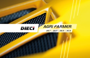 Sollevatori Telescopici Fissi Dieci Agri Farmer 28.9 GD