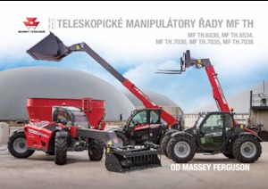 Sollevatori Telescopici Fissi Massey Ferguson TH.7038