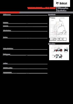 Sollevatori Telescopici Fissi Bobcat TL30.70 Low Cab 100 IV