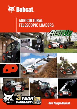 Sollevatori Telescopici Fissi Bobcat TL43.80HF AGRI 130 IV