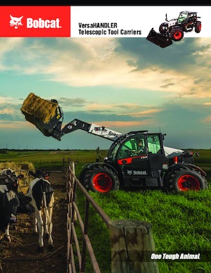 Sollevatori Telescopici Fissi Bobcat VersaHANDLER V519