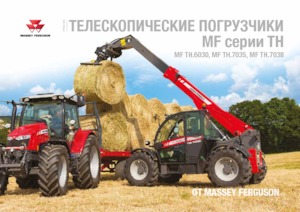 Sollevatori Telescopici Fissi Massey Ferguson TH.7038