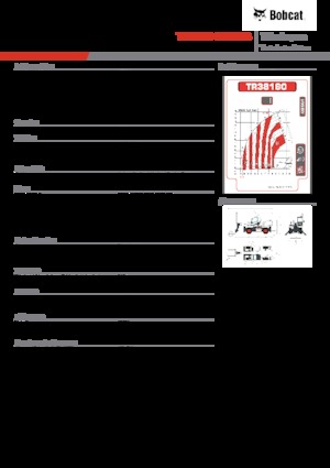 Sollevatori telescopici con torretta girevole Bobcat TR38160EVO IIIB