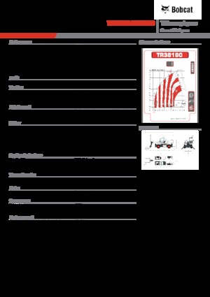 Sollevatori telescopici con torretta girevole Bobcat TR38160EVO IIIB