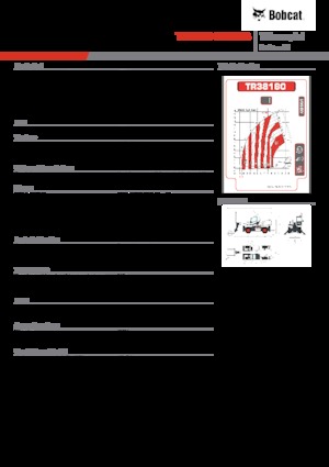 Sollevatori telescopici con torretta girevole Bobcat TR38160EVO IIIB