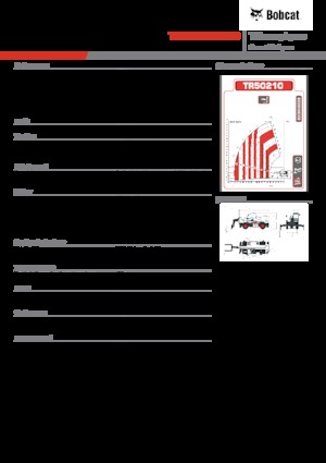 Sollevatori telescopici con torretta girevole Bobcat TR50210EVO IIIB