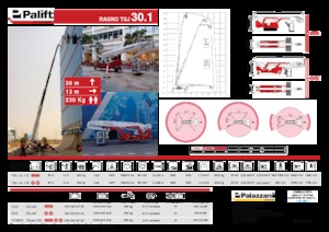 Piattaforme aeree telescopiche gommate Palazzani TSJ 30.1 R