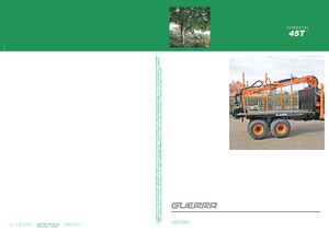 Gru per autocarro per legname Guerra 45 TW 1