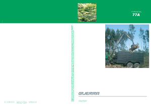 Gru per autocarro per legname Guerra 77 AY 1