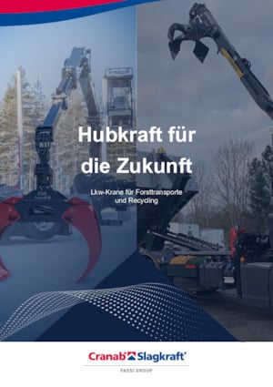 Gru per autocarro per legname Cranab RZ 18.1 NHY 3+3