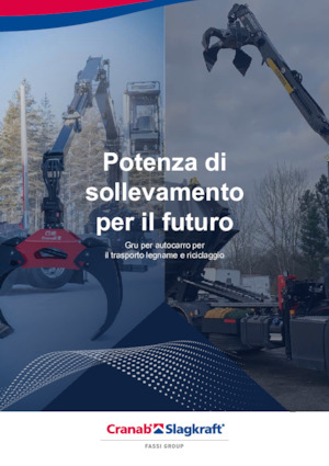 Gru per autocarro per legname Cranab RZ 18.1 NHY 3+3